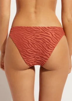 Women Calzedonia Istanbul Zebra Print Bikini Bottoms