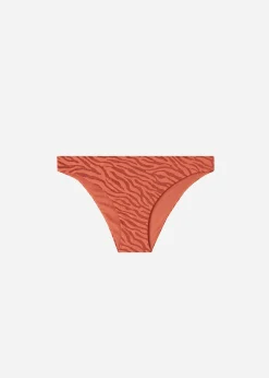 Women Calzedonia Istanbul Zebra Print Bikini Bottoms