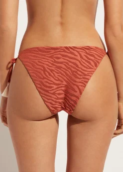 Women Calzedonia Istanbul Zebra Print Bow Bikini Bottoms